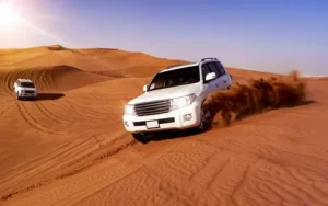 Dune Buggy Open Desert for 60 minutes private