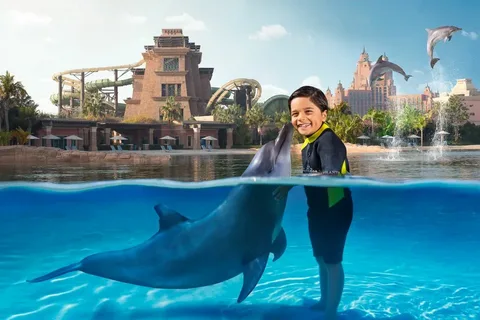 Dolphin Show Dubai Tickets 