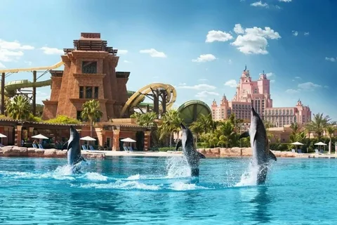 Dolphin Show Dubai Tickets 